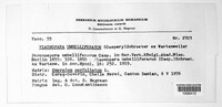 Plasmopara umbelliferarum image